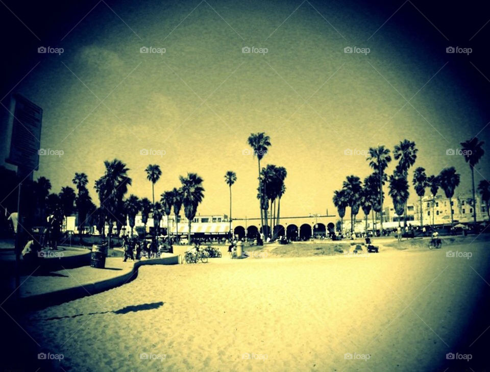 Vintage Venice Beach