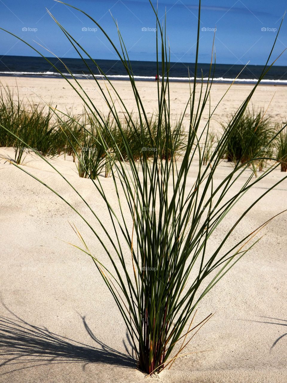 Long beach of Norderney