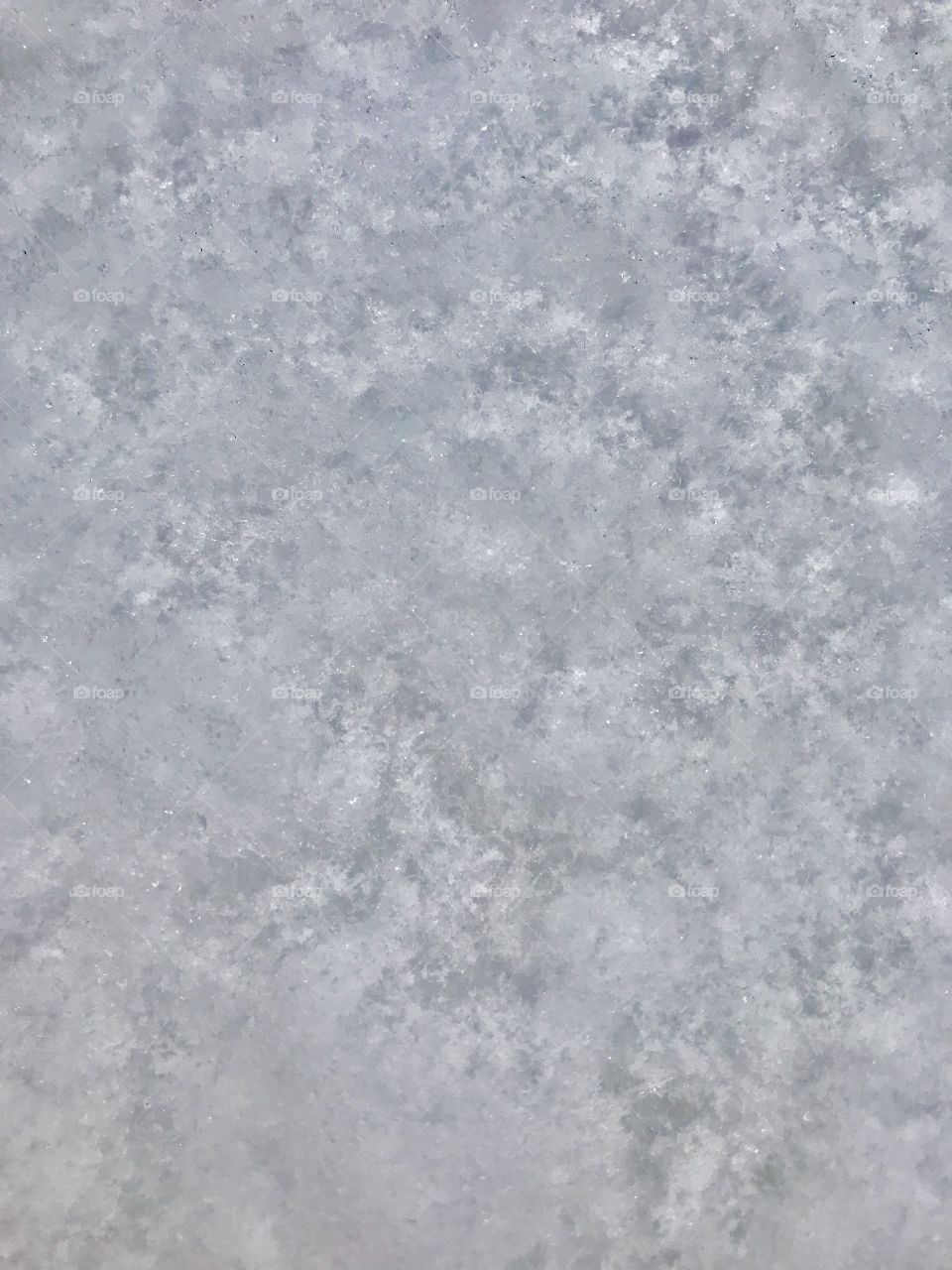 Snow, up close and personal 