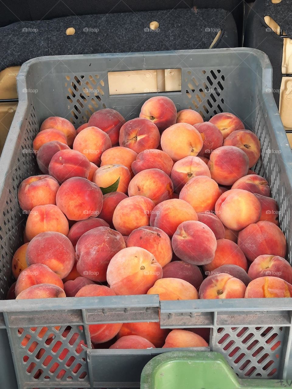 basket of ripe peaches