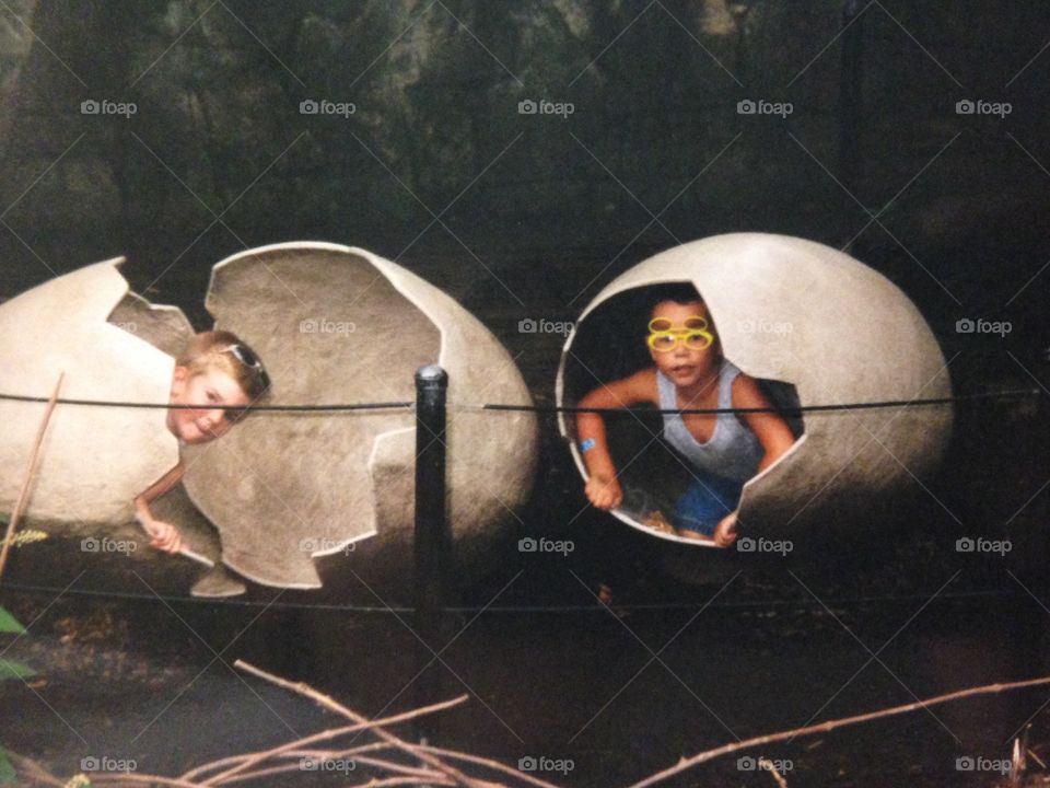 Dinosaur eggs hatched