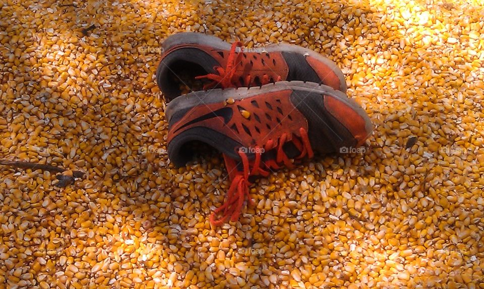 Shoes in Corn. Shoes in Corn
