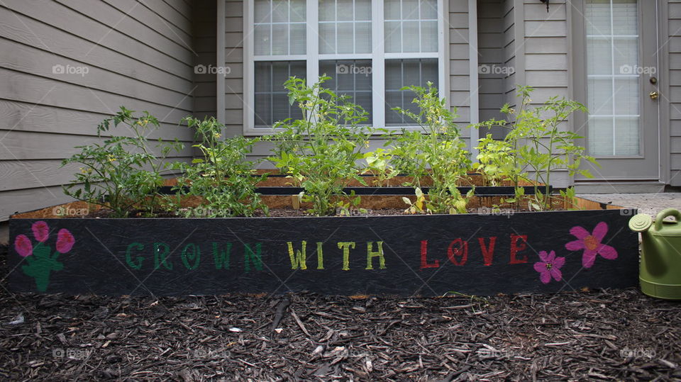 grown with love garden beds