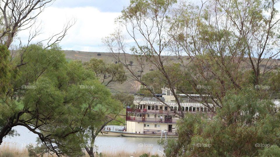 Murray Princess riverboat steaming past on the mighty Murray River