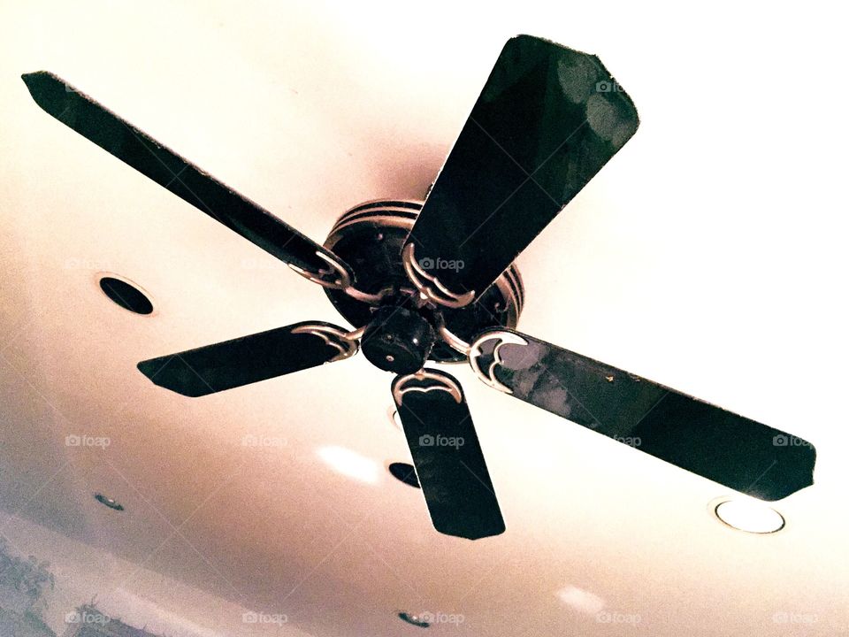 Ceiling fan 