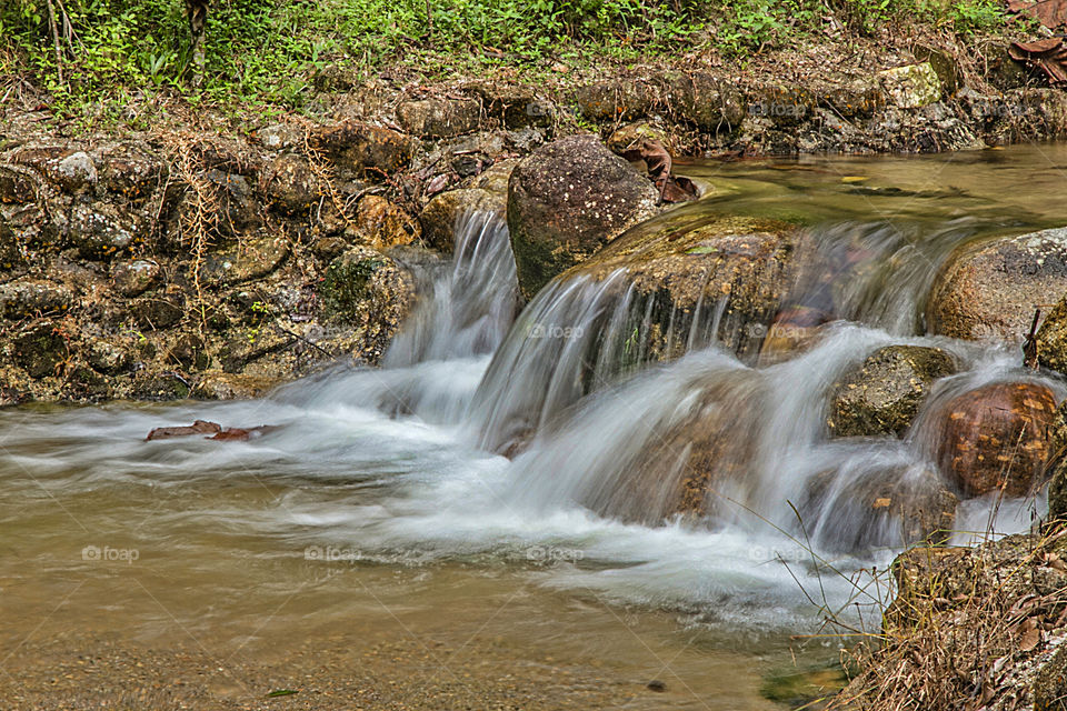 Fresh water stream in forest