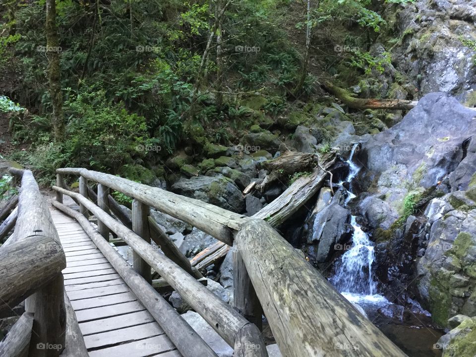 Bridge over water