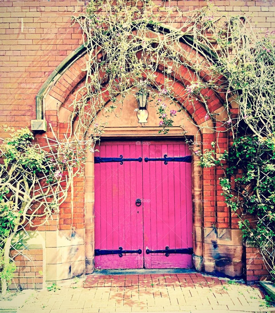 Gated doorway set in a brick wall with creeping plant on wall