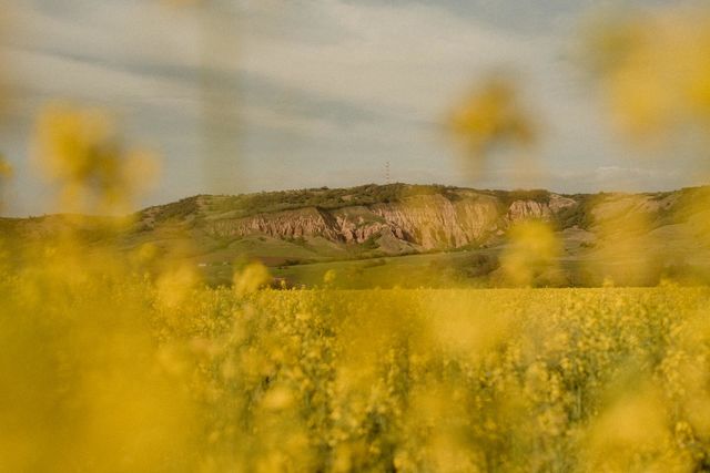 yellow