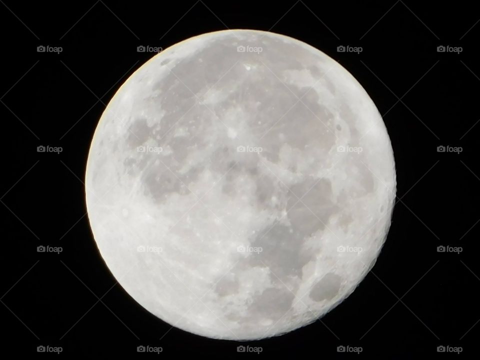 3 December 2017. Super Moon. Charleston, SC
Nikon B500 Coolpix