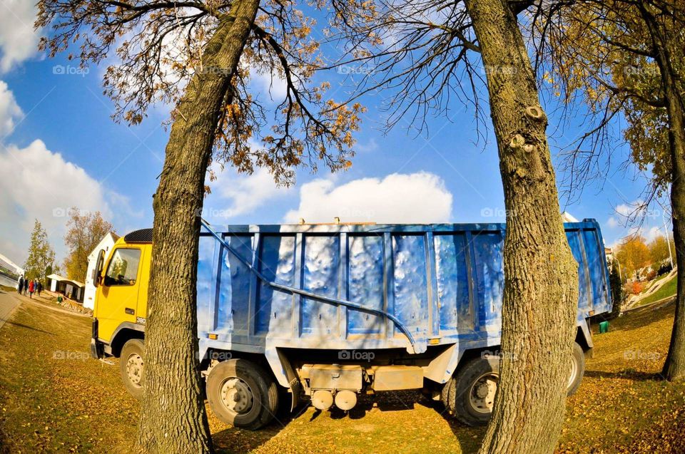 A blue truck behind two trees