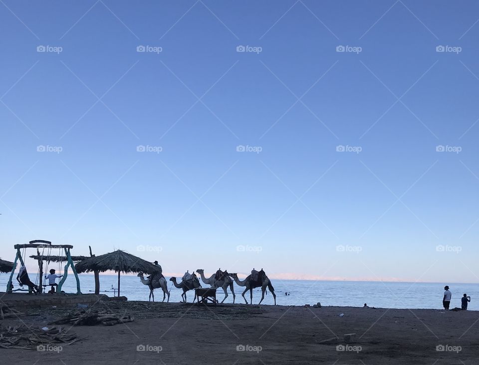 The beach (I have a better quality)❤️