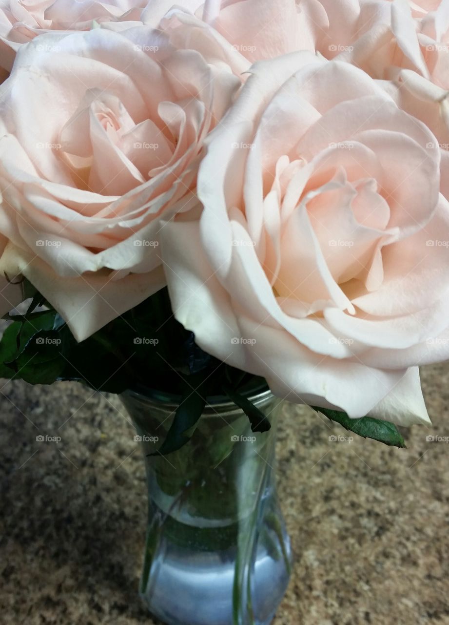 Love, Flower, Wedding, Rose, Romance