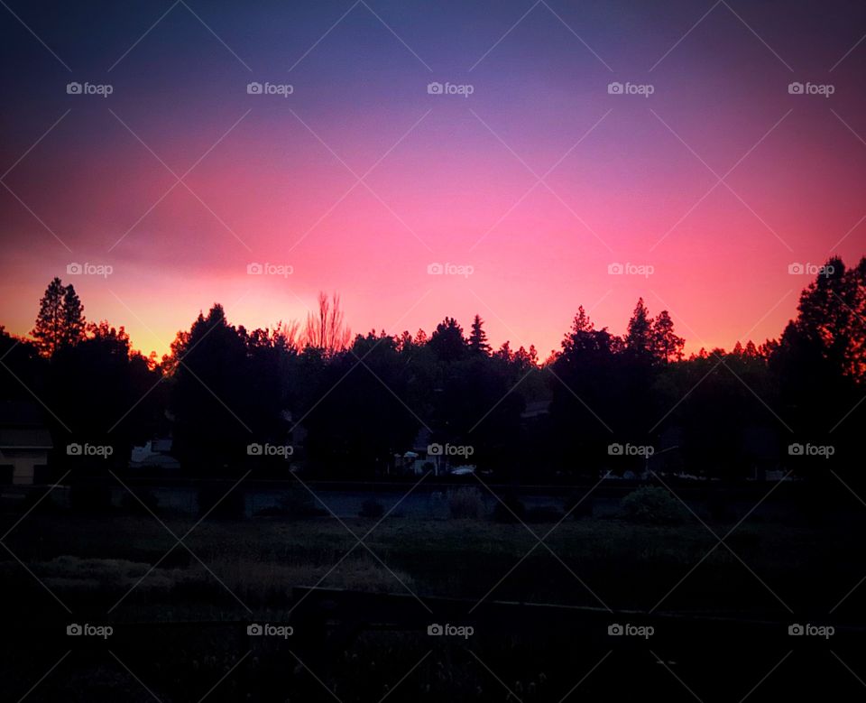 Pink backyard sunset