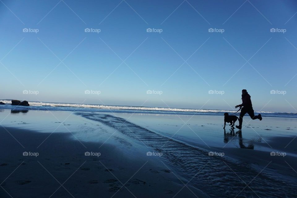 Sunrise#beach#ocean#human#dog