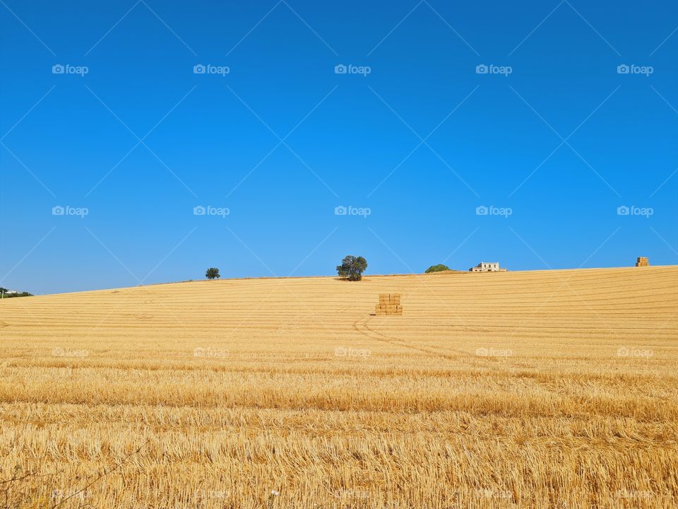 Molise summer landscape with harvested field and blue sky