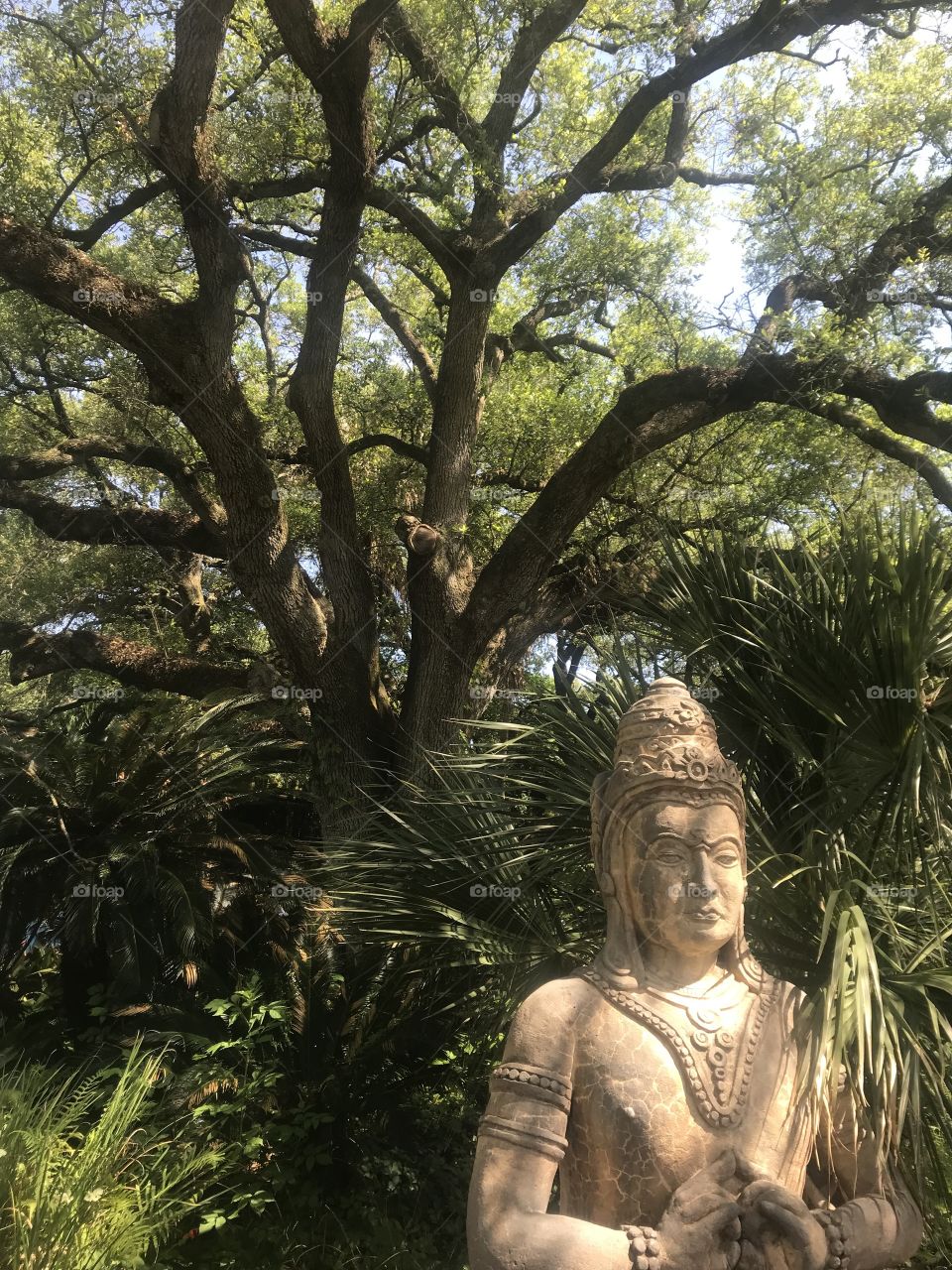 Meditations, Audubon Zoo, New Orleans 