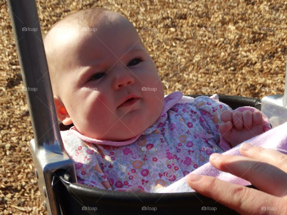 Baby In A Swing
