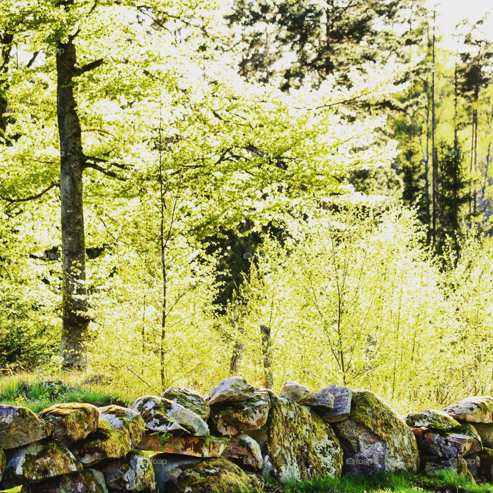 After rain commes sun..