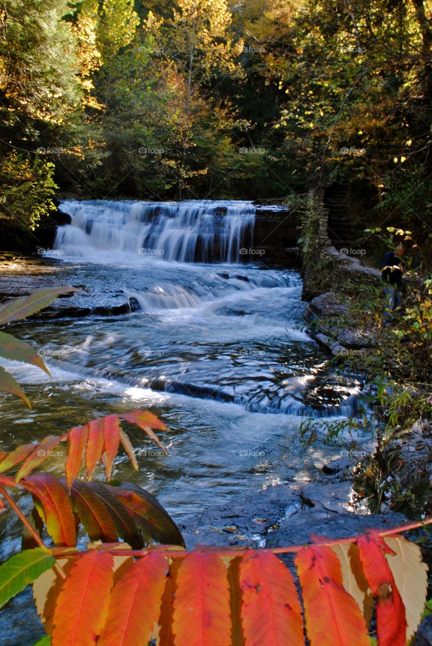 Ithaca state parks