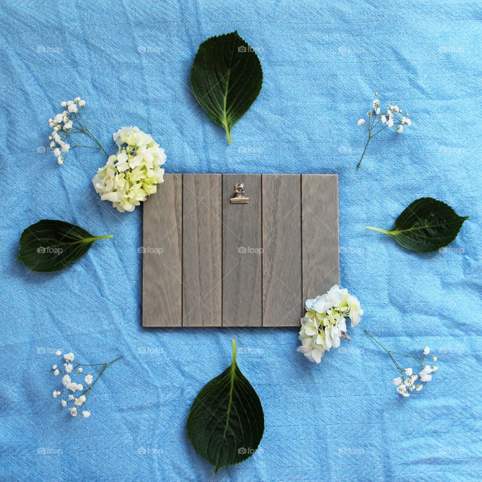floral hydrangeas flat lay with blue background