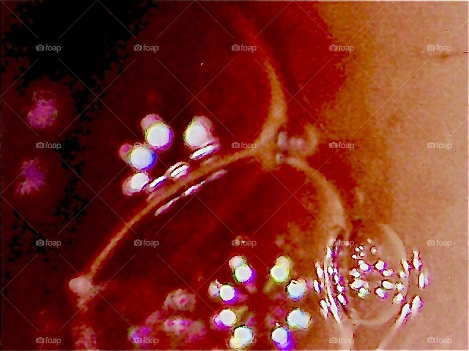 What is it? Well, in this case I can actually tell you. These are bubbles of saliva between two teeth with the circular LED lights of a USB microscope camera at 120 times magnification reflecting in it. 2016. Hypnotic Productions