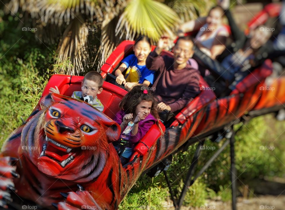 Rollercoaster At A County Fair
