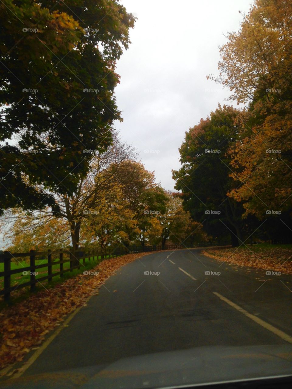 A drive in autumn