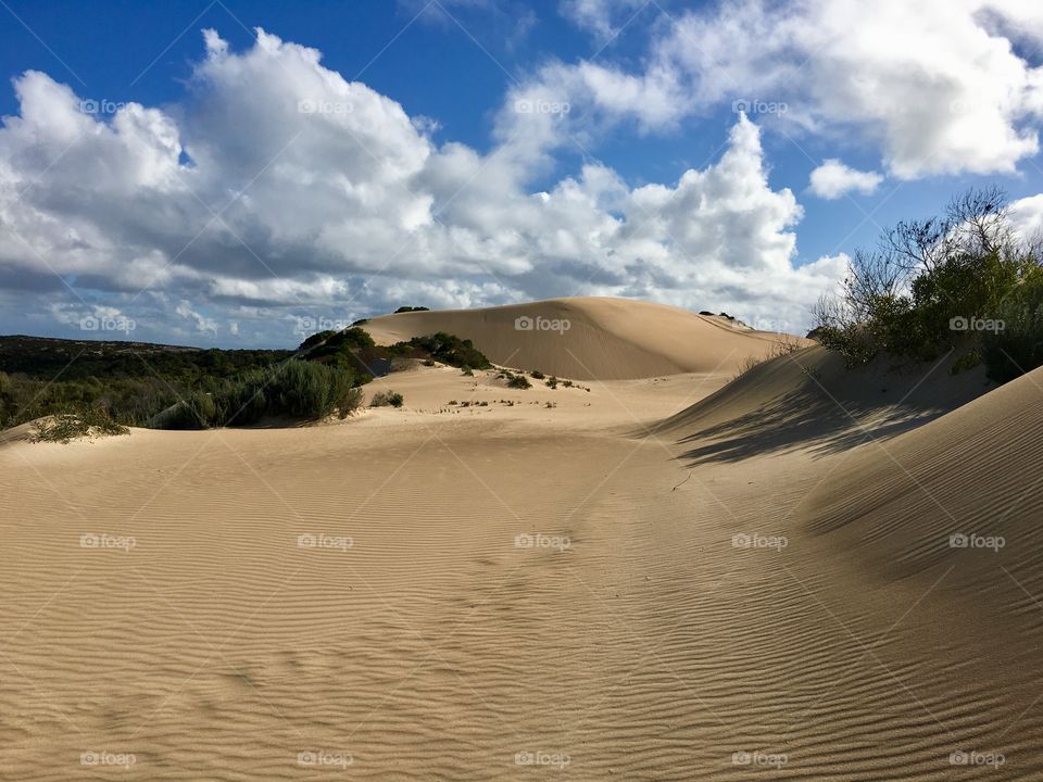 Golden sand dunes along the South Australia coast at Southern Ocean in spring time, glorious sunny day with interesting cloud formations Lincoln National Park. 