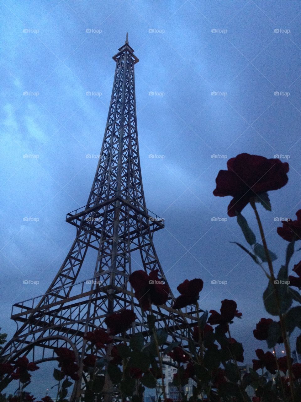 Eiffel Flower. The flowers are real, but the tower not.