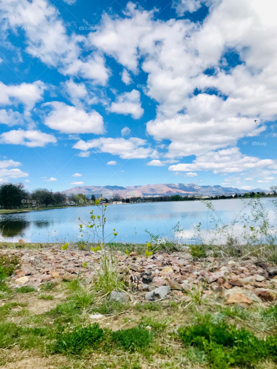 Prospect Lake at Memorial Park in Colorado Springs Colorado. A beautiful park with a lake in the middle where you can fish. 