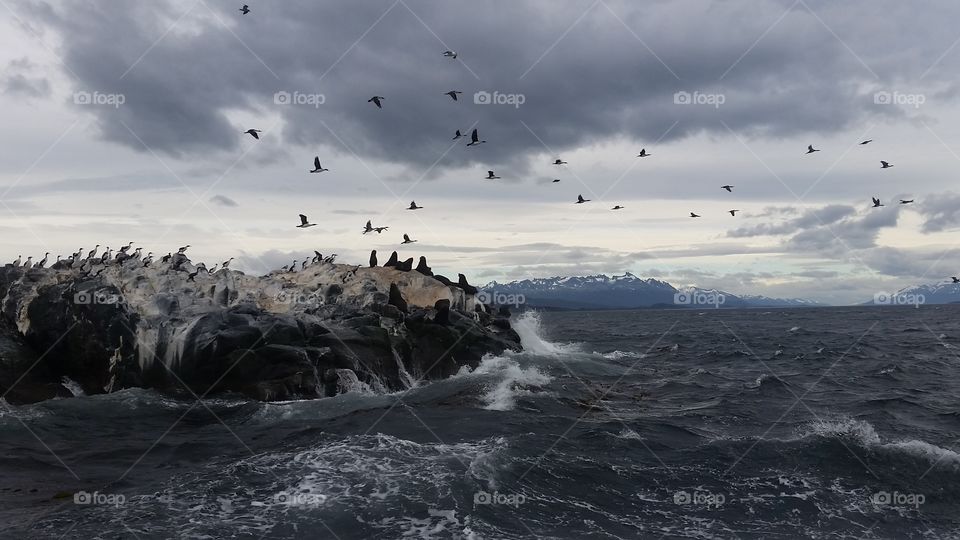 Storm in Tierra del Fuego