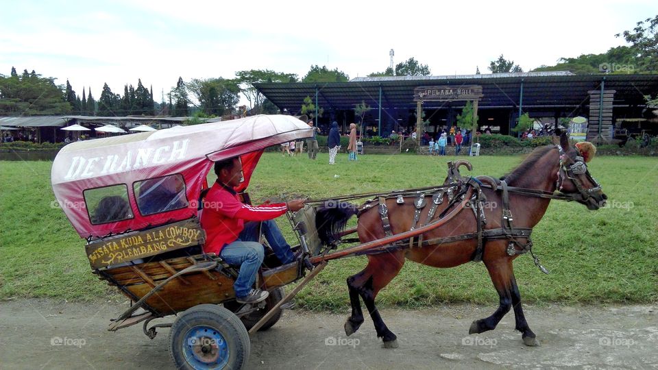 traditional transportation