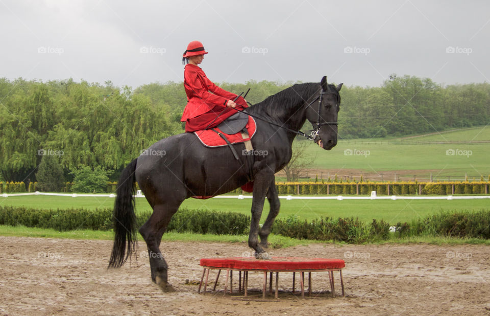 Horse show. 