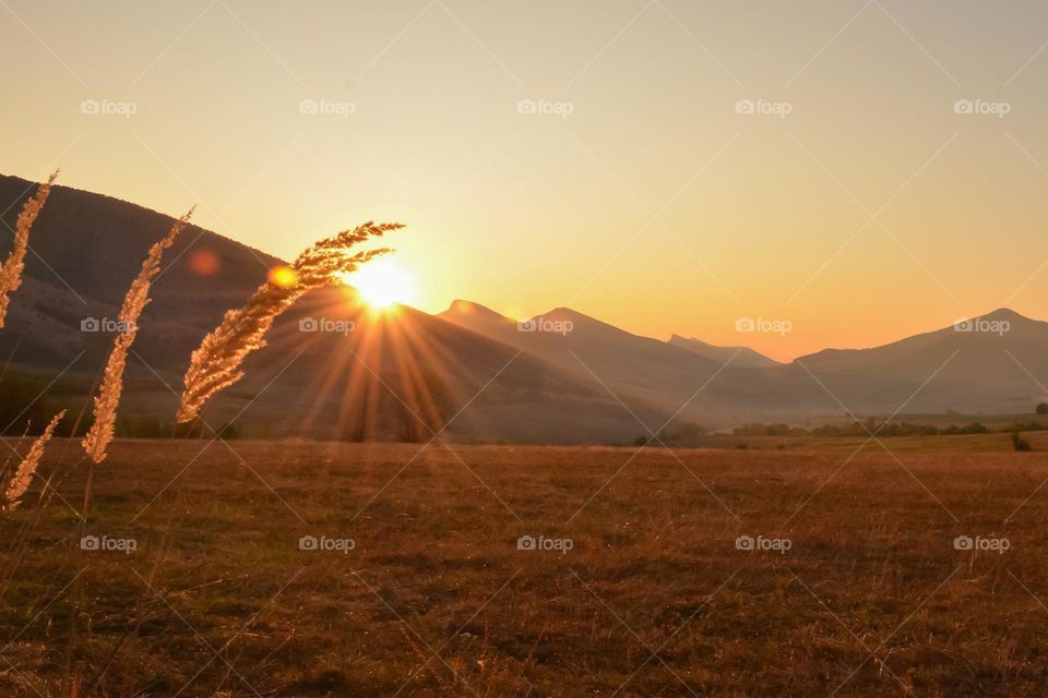 Beautiful Autumn Sunny Morning