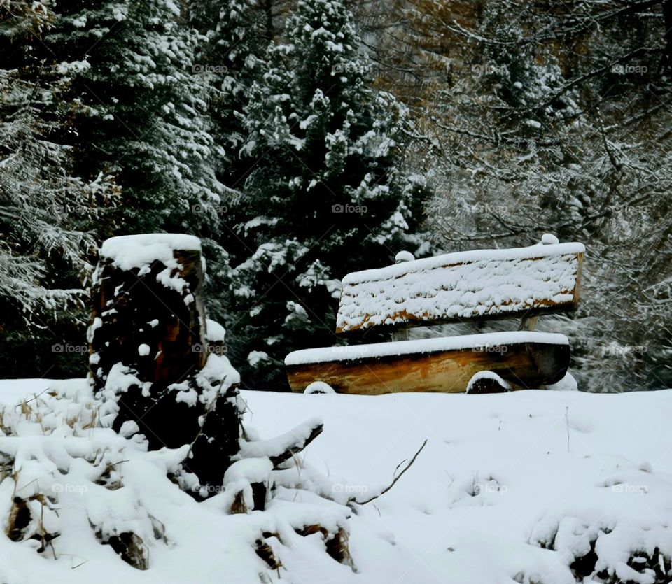 Bench in the middle of nowhere