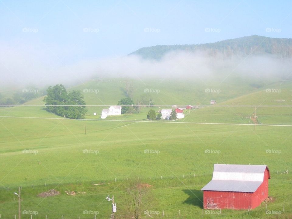 Barns in the meadow