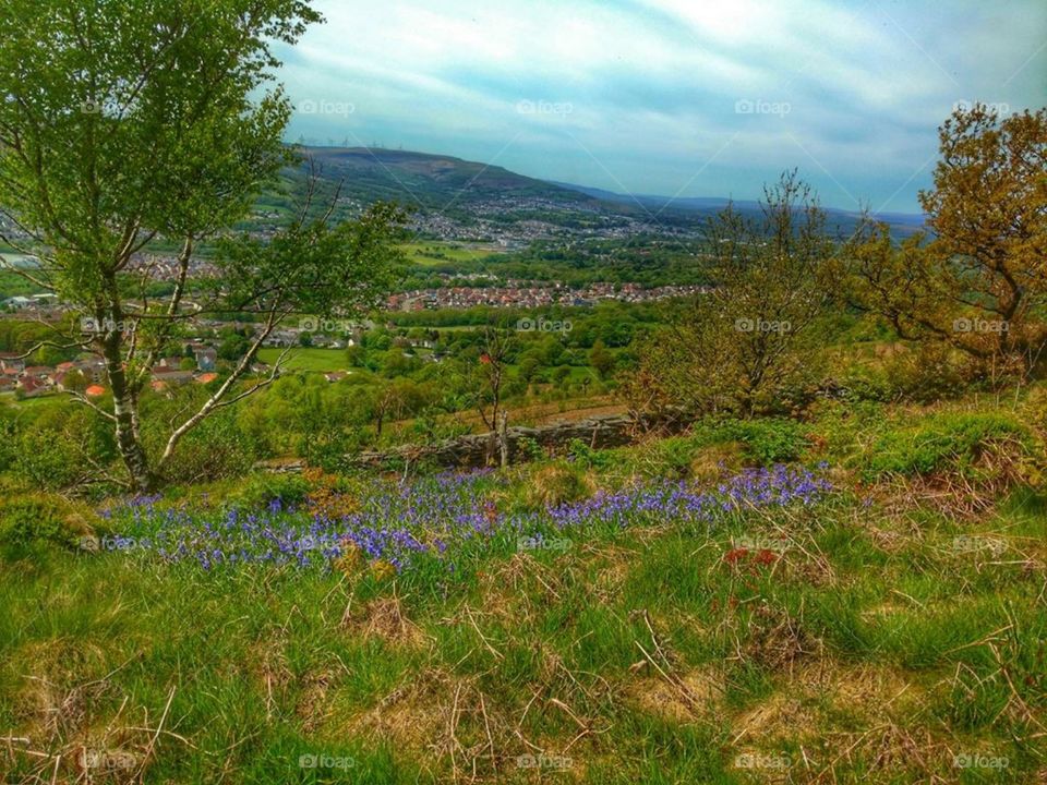 View from Cwmbach mountain, Aberdare (May 2018)