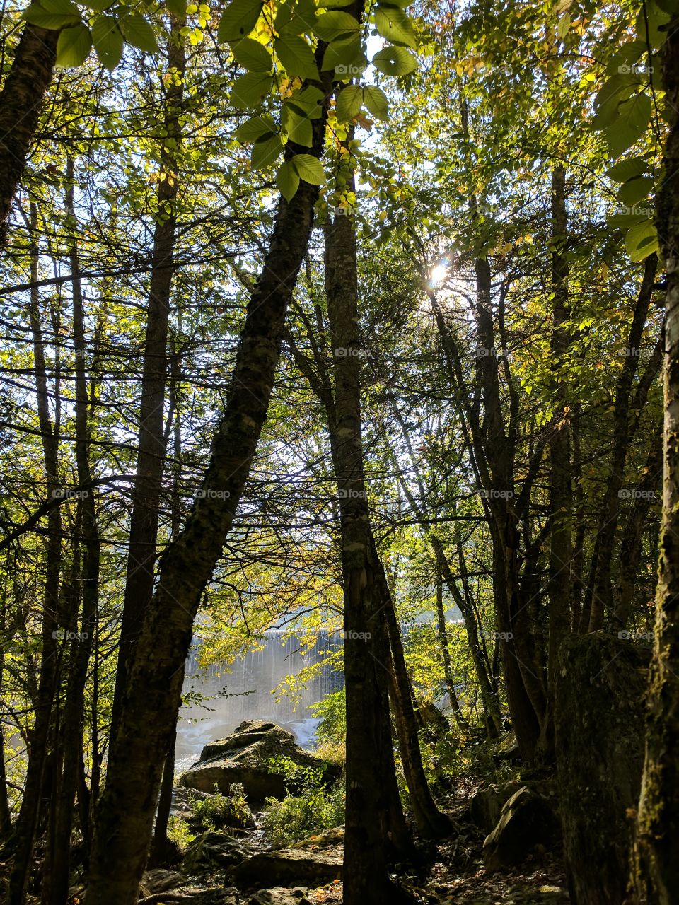 Overlooking Elk River through the trees on Lees-McRae College in Banner Elk, North Carolina, USA