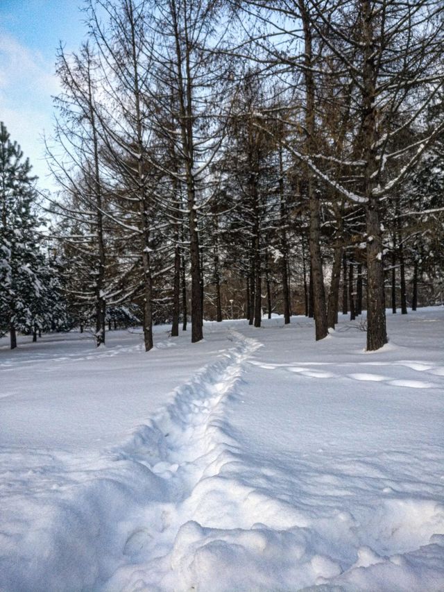 Winter