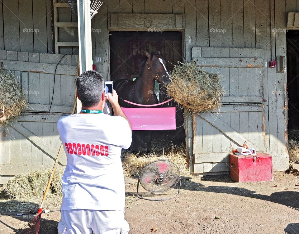 Photographing A Racehorse. Fleetphoto on the backstretch photographing a thoroughbred in his stall atHorse Haven Saratoga. 
Zazzle.com/Fleetphoto 