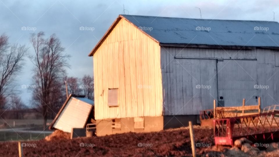 A Very Windy Cold Spring Day