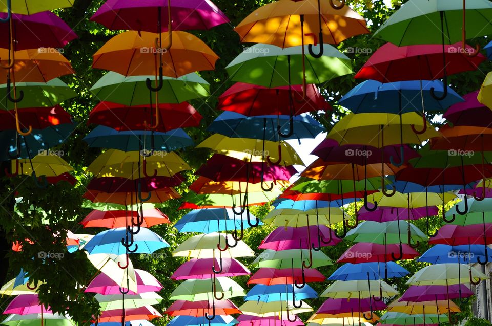Convenient umbrellas in sunny weather