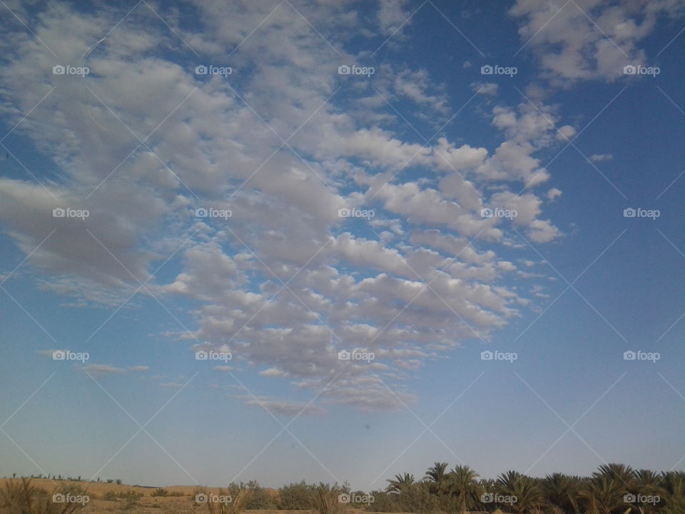 Scattered clouds and oasis in Ouled Djellal
