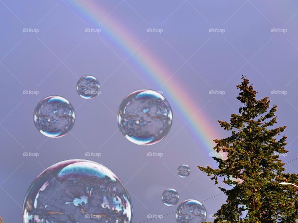 Bubbles and Rainbows