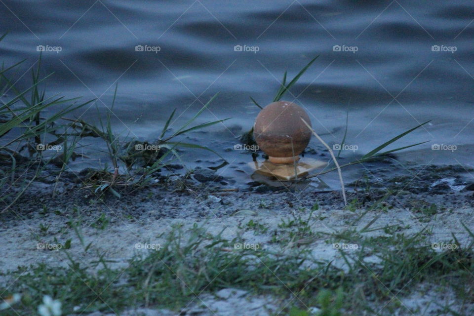 Globe topper abandoned in pond