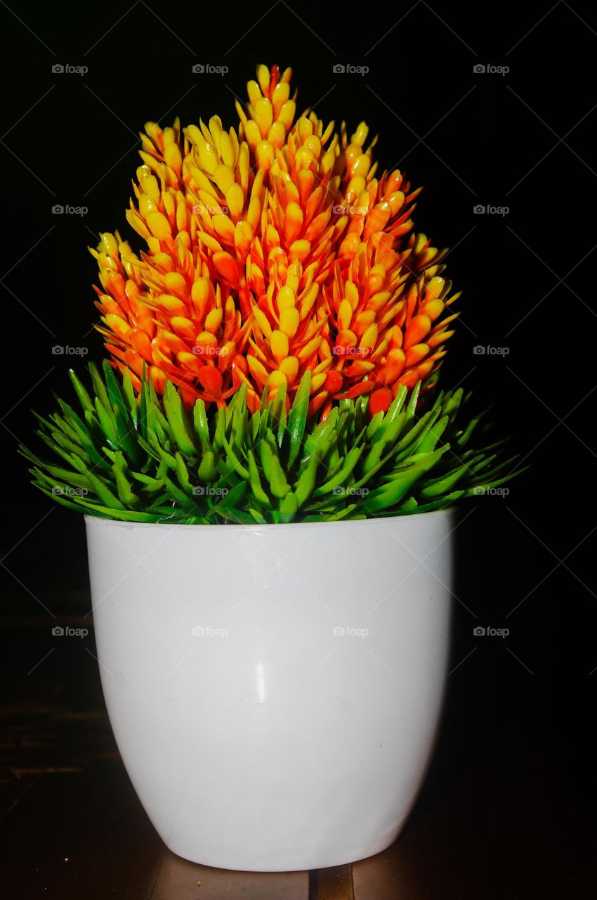 flower vase