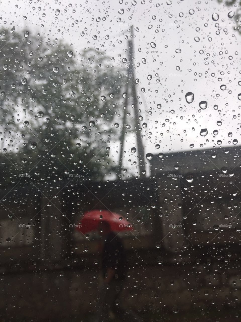 In the rain
