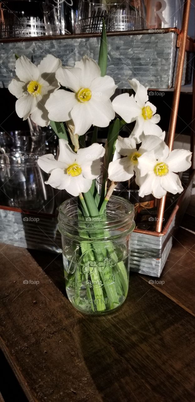 fresh flowers in a vase in the sun