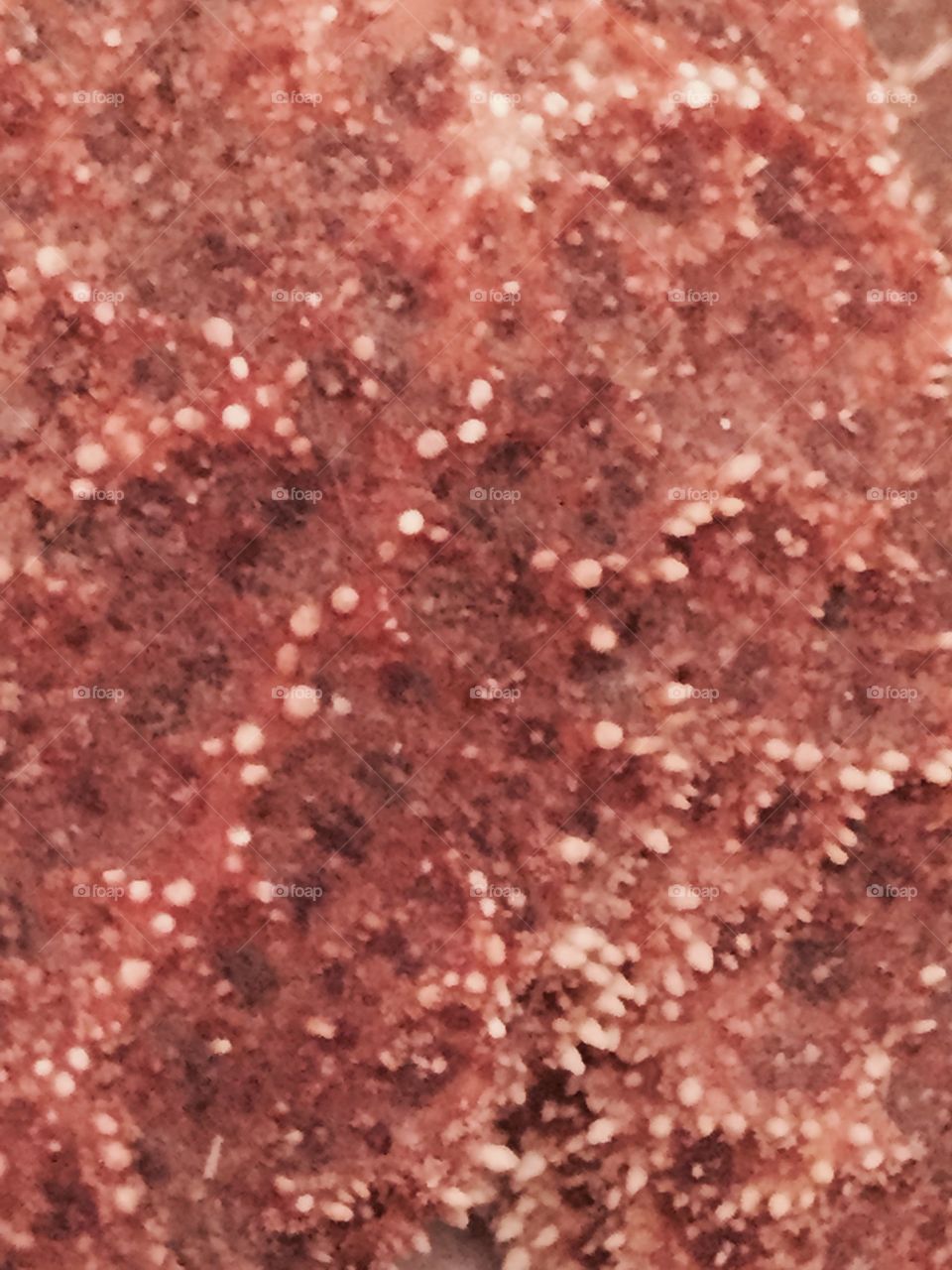 Close up of a starfish 